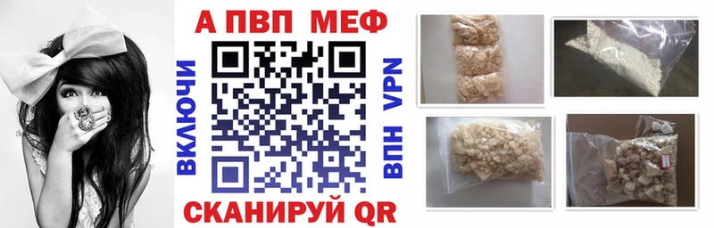 Alfa_PVP СК  Выборг 