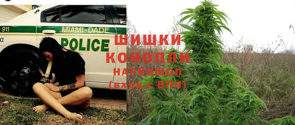 соль курить ск Пересвет