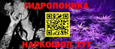 индика Бузулук