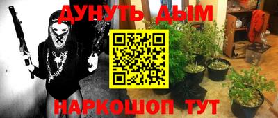 гашишное масло Берёзовский