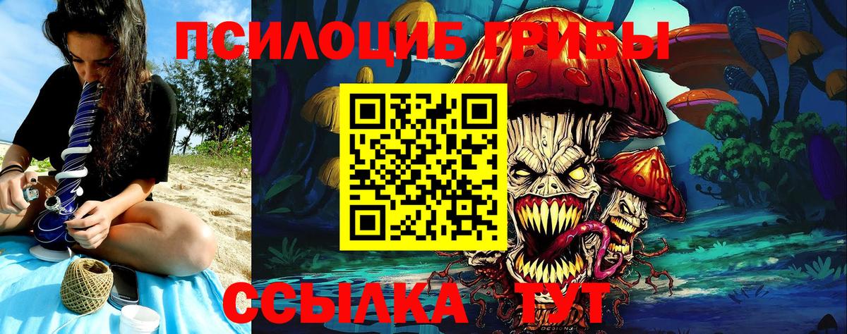 Галлюциногенные грибы MAGIC MUSHROOMS Выборг