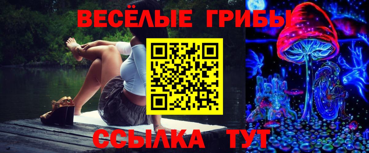 Галлюциногенные грибы мицелий  Выборг  где купить наркоту  Псилоцибиновые грибы Cubensis 