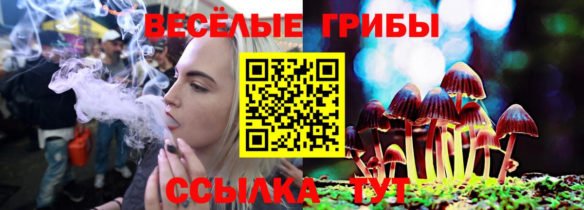 купить наркотики цена  Галлюциногенные грибы мицелий  Галлюциногенные грибы Magic Shrooms  Вход с VPN  Выборг 