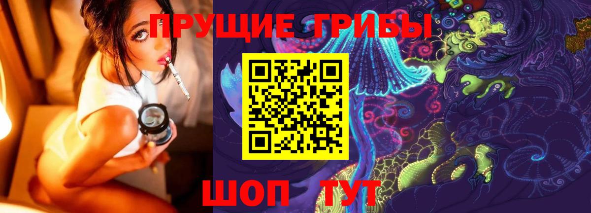 Псилоцибиновые грибы Psilocybine cubensis Выборг