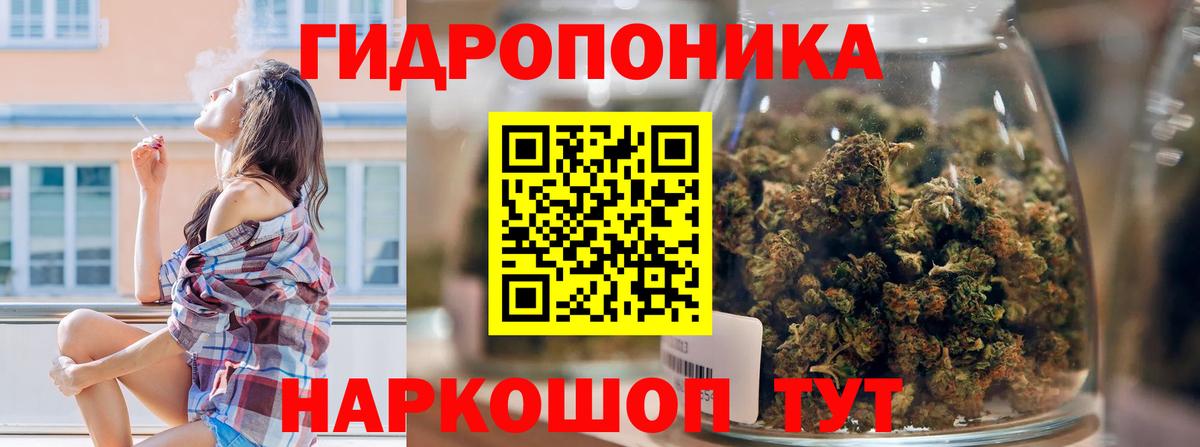 Канабис SATIVA & INDICA  Марихуана SATIVA & INDICA  Каннабис Ganja  Выборг  Вход с VPN 